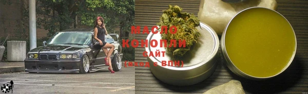 индика Заволжье
