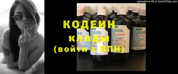 индика Заволжье