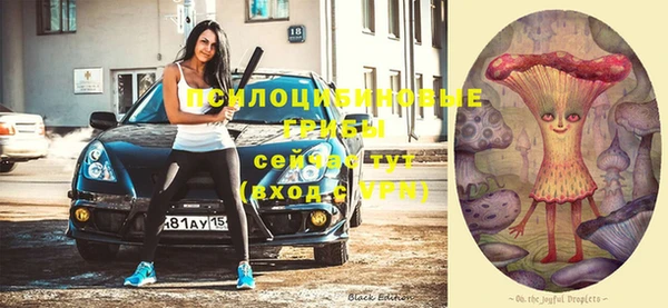 apvp Заводоуковск