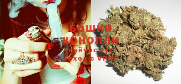 индика Заволжье
