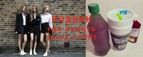 индика Заволжье