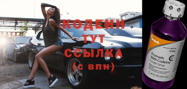 индика Заволжье